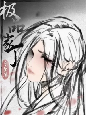 [P站无名]宁坠封面
