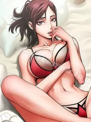 共享情人封面