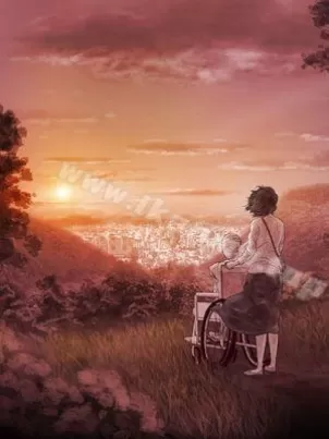 殘存封面