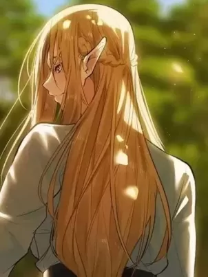 这个世界的后宫骑士/ThisWorld’sHaremKnight封面
